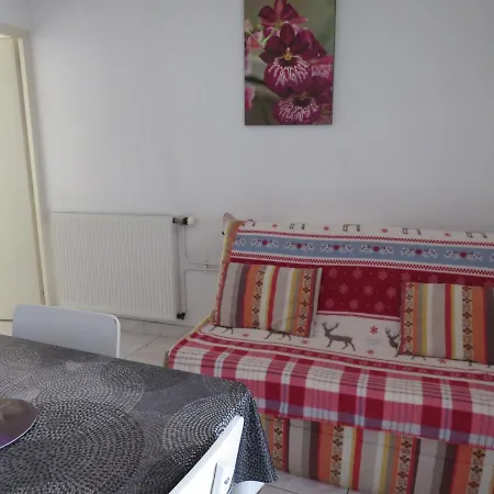 Orchidee לז הרבייה