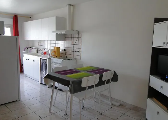 Orchidee דירה לז הרבייה