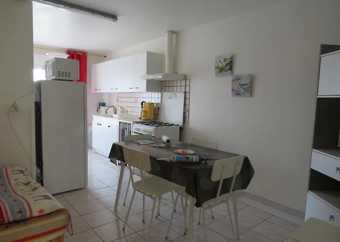 Orchidee * לז הרבייה